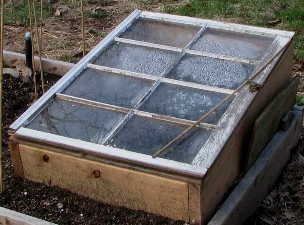 Cold frame gardening | Gardening Forums